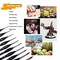 10 Pcs Detail Paint Brushes Set Miniature Brushes for Fine Detailing & Art Painting - Acrylic, Watercolor,Oil,Models, Warhammer 40k